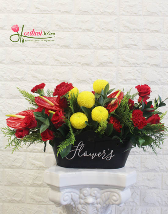 Congratulation flowers - Flower and you